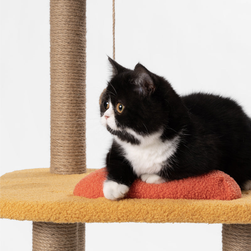 Distributor for Petkit, Catlink and Pidan - Petland Company Limited PIDAN CAT TREE - JUMP JUMP PIDAN CAT