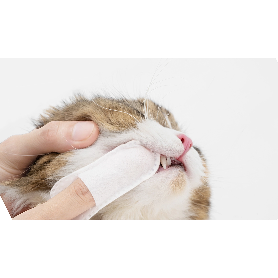 Distributor for Petkit, Catlink and Pidan - Petland Company Limited PIDAN TOPICAL PET CLEANING FINGER WIPES (15PCS) PIDAN CAT DOG