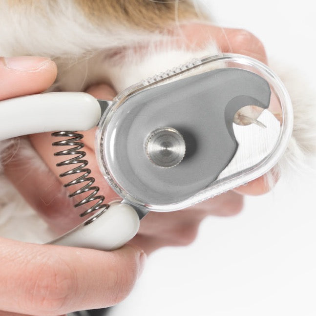 Distributor for Petkit, Catlink and Pidan - Petland Company Limited PIDAN LIGHT UP NAIL CLIPPER PIDAN CAT DOG