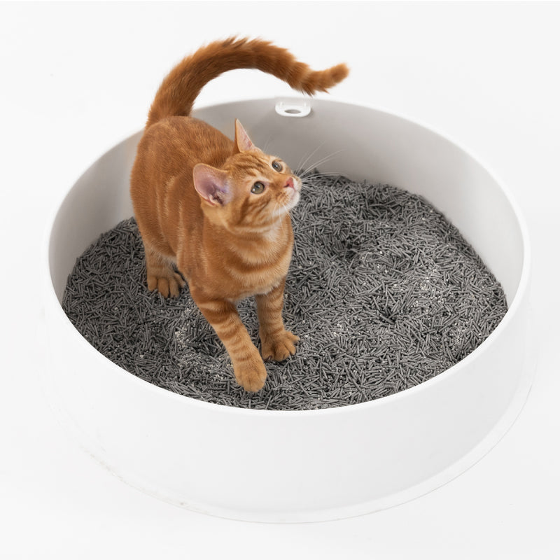 Distributor for Petkit, Catlink and Pidan - Petland Company Limited PIDAN COMPOSITE TOFU CAT LITTER - ACTIVATED CHARCOAL TOFU WITH BENTONITE 2.4KG/BAG x4 PIDAN CAT