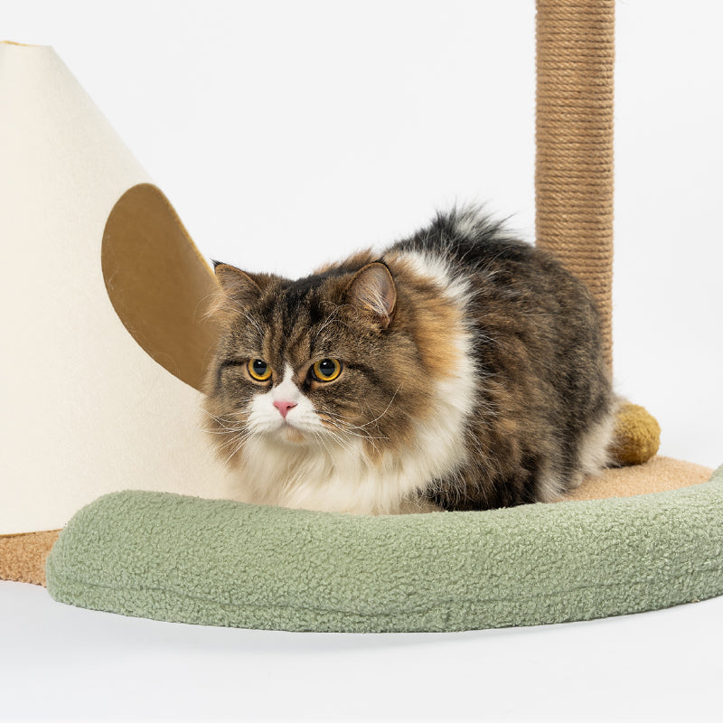 Distributor for Petkit, Catlink and Pidan - Petland Company Limited PIDAN CAT TREE -  CAT ISLAND PIDAN CAT