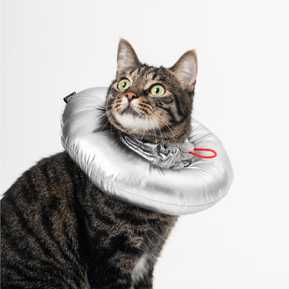 Distributor for Petkit, Catlink and Pidan - Petland Company Limited PIDAN RECOVERY COLLAR/ ELIZABETHAN COLLAR FOR CATS AND SMALL DOGS PIDAN CAT DOG pidan_featured