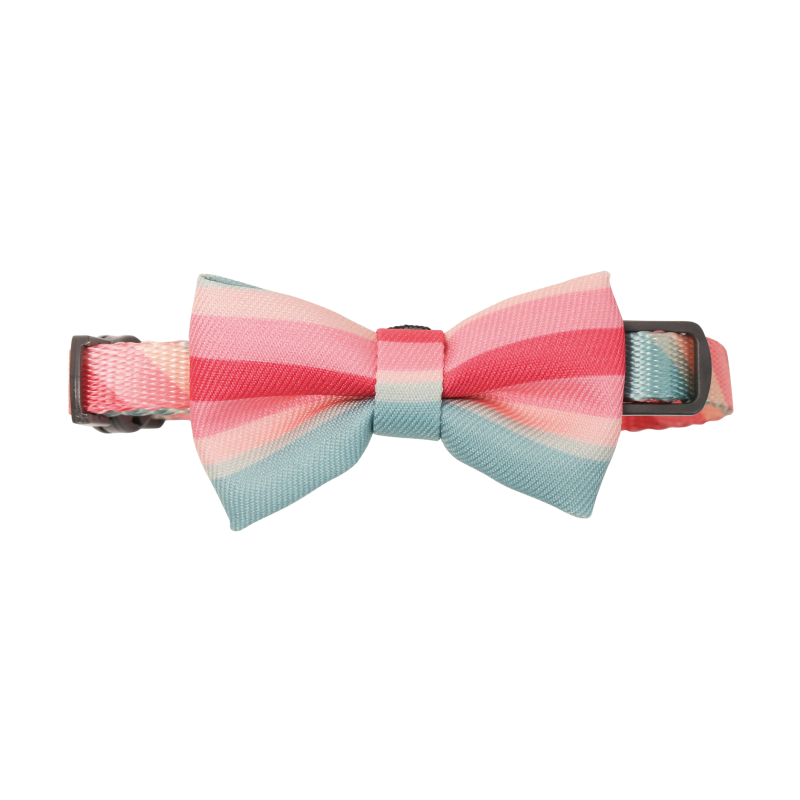 Distributor for Petkit, Catlink and Pidan - Petland Company Limited PIDAN CAT BOW TIE COLLAR PIDAN CAT pidan_featured