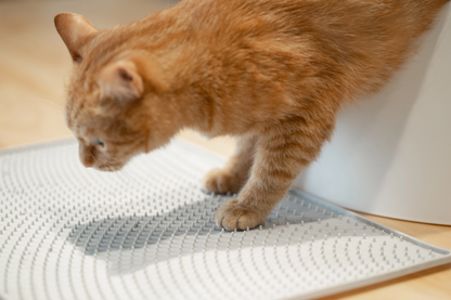 Distributor for Petkit, Catlink and Pidan - Petland Company Limited PIDAN CAT LITTER MAT - GREY PIDAN CAT