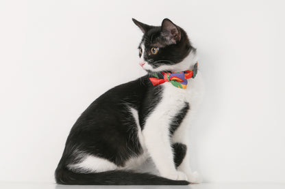 Distributor for Petkit, Catlink and Pidan - Petland Company Limited PIDAN CAT BOW TIE COLLAR PIDAN CAT pidan_featured