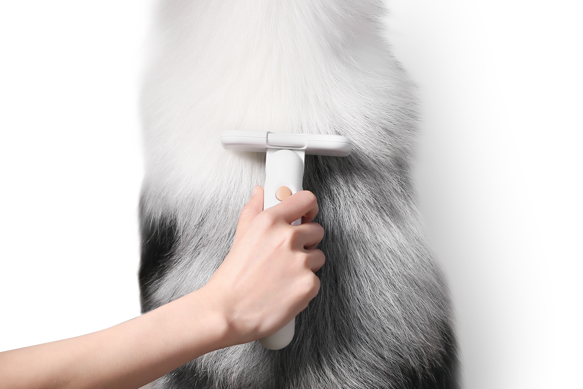 Distributor for Petkit, Catlink and Pidan - Petland Company Limited PIDAN PET DESHEDDING TOOL FOR SHORT HAIR PETS PIDAN CAT DOG pidan_featured