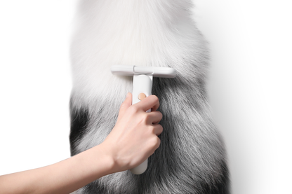 Distributor for Petkit, Catlink and Pidan - Petland Company Limited PIDAN PET DESHEDDING TOOL FOR SHORT HAIR PETS PIDAN CAT DOG pidan_featured